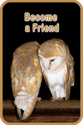 Become a Friend of the Barn Owl Trust