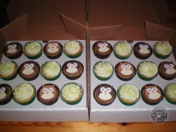Owl Cupcakes - Michelle Poynter
