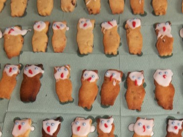 Owl Biscuits Brundall Primary School Fundraising Event