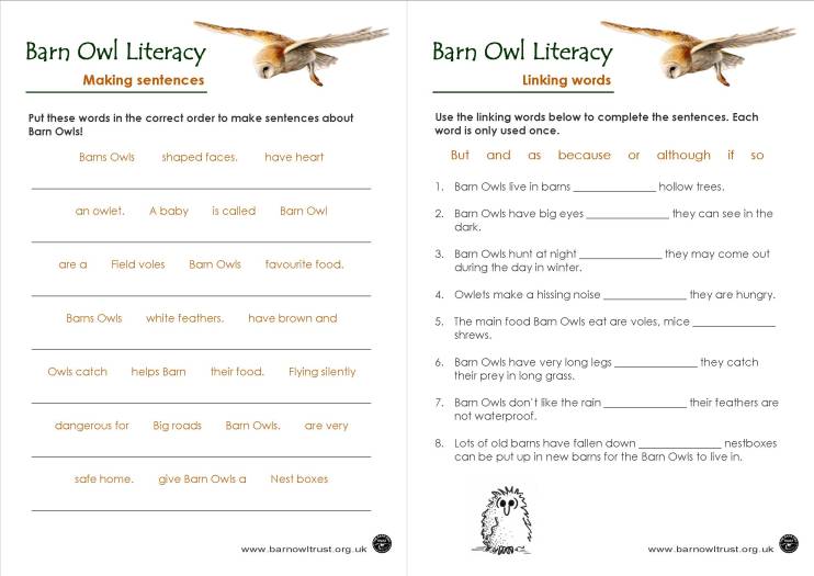 Literacy Owly Word Order