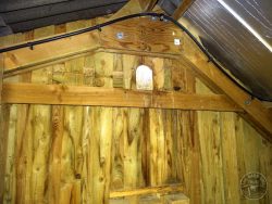 Barn Owl Internal Provision Access Hole Inside