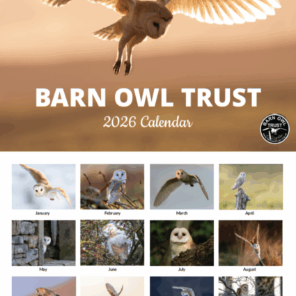 Barn Owl Calendar 2026