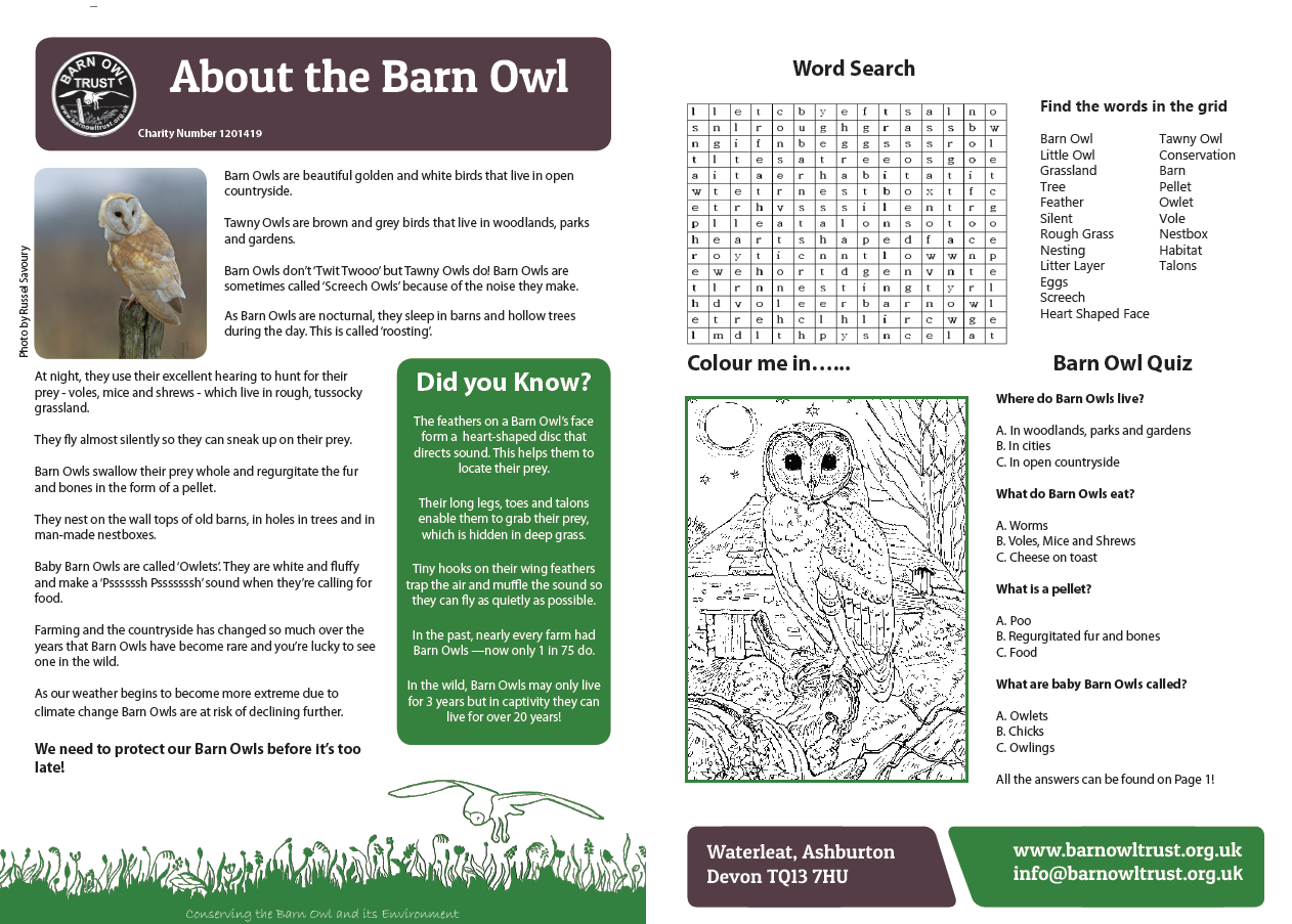 Leaflet about Barn Owls