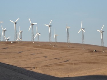 Altamont Pass Wind Farm Attribution In Word Doc