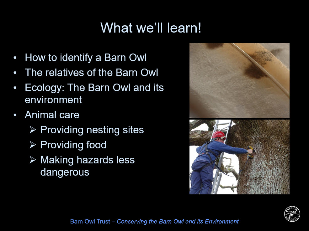 Animal care and conservation presentation slide 2