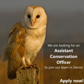 Assistant conservations officer ad