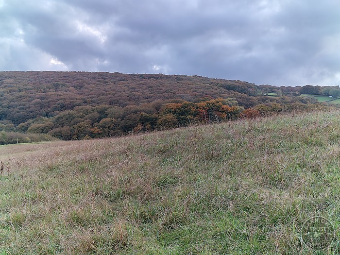 Autumn Colours October 2025