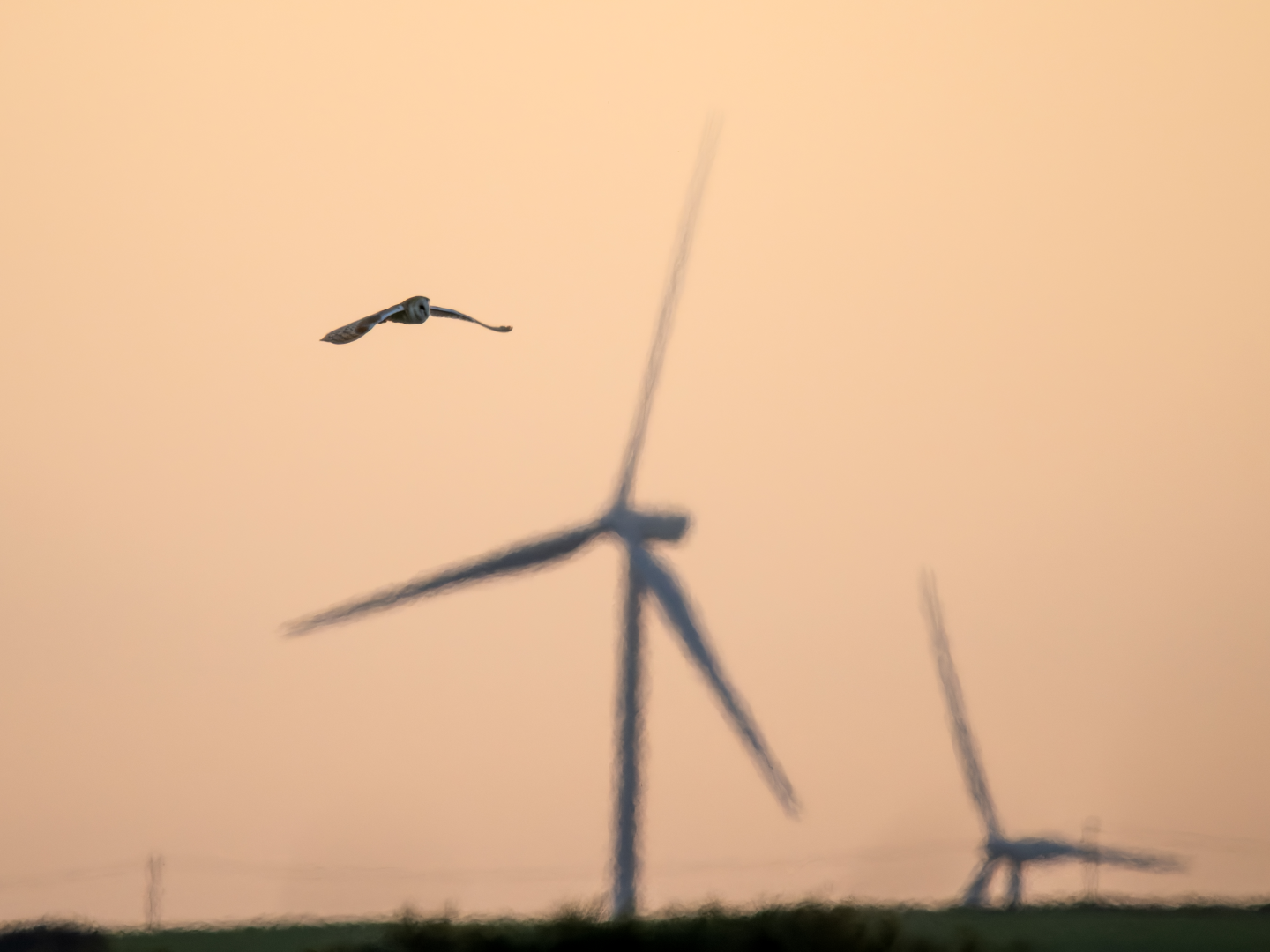 Fowlescombe Wind Turbine [David Ramsden] 220211(B) 002