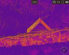 Barn Owl in Wildlife Tower seen through the thermal image monocular