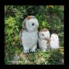 Bot family of owls natural jpeg 900x900