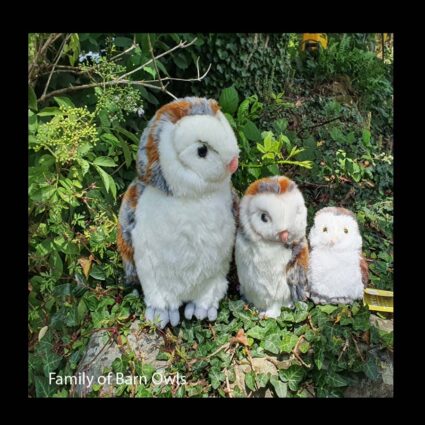 Bot family of owls natural jpeg 900x900