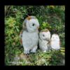 Bot family of owls natural png 900x900