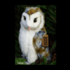 Bot large owl natural 900x900 png jpg