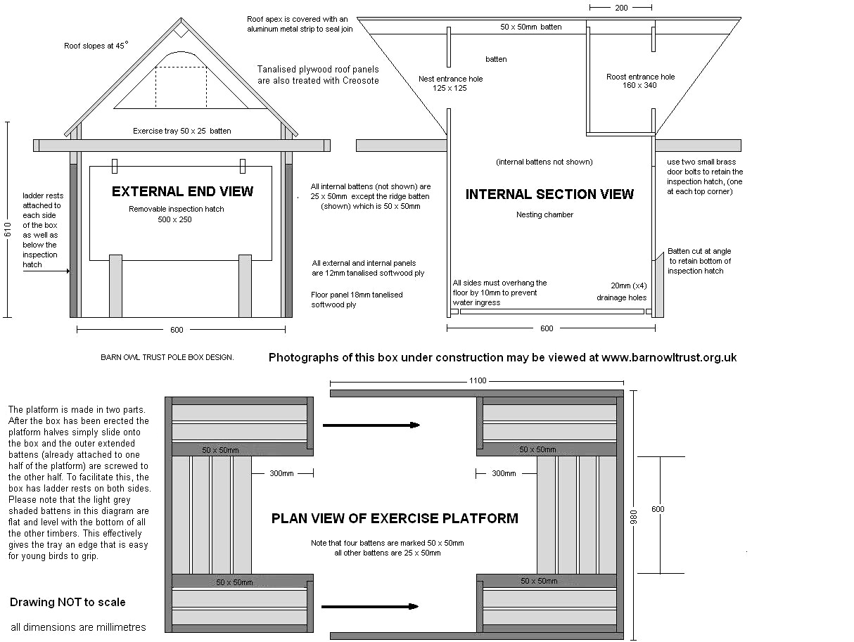 Richard's dream of providing nest box homes for local barn owls