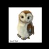 Bot small owl natural 900x900 png