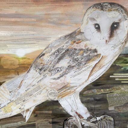 Barn owl collage art print