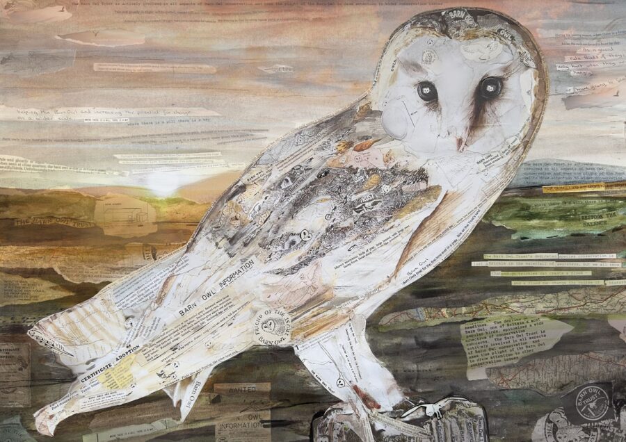 Barn owl collage art print
