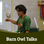 Barn owl talks