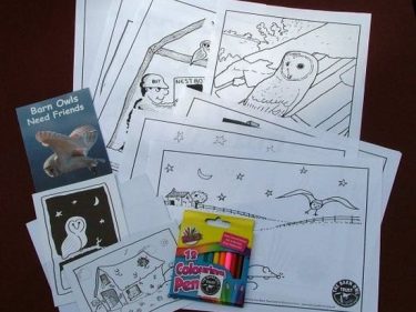 Barn Owl Trust Colouring Pack
