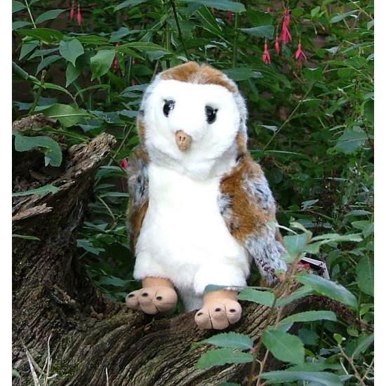 Barn Owl Trust Large Cuddly Owl The Barn Owl Trust