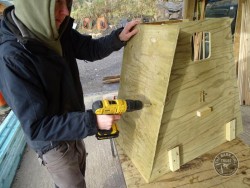 Barn Owl Tree Nestbox Construction 14