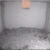 Nestcam Diary 2019 Barn Owl Webcam Nestcam Screenshot 8th February 2019