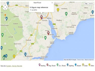 Barn Owl Survey Record View