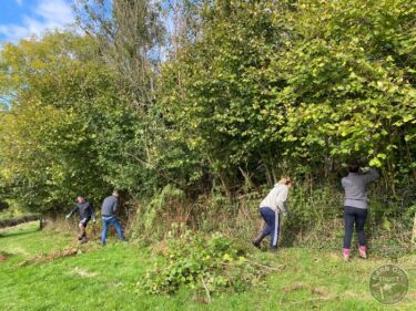 Barrat homes volunteers (3)