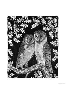 Book of the barn owl internal pic