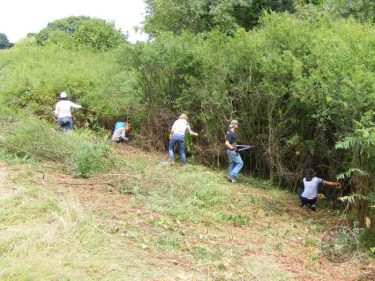 Brown Hairstreak Blackthorn Management LLP Wildlife Diary August 2018 2016