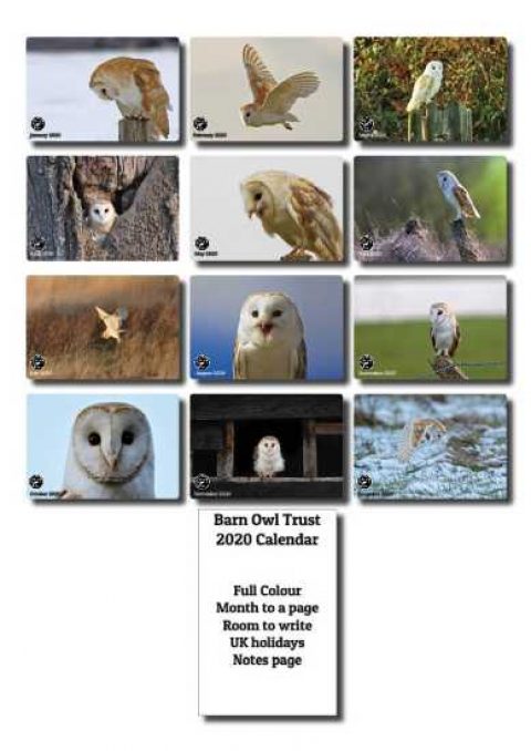 Barn Owl Calendar 2016 The Barn Owl Trust