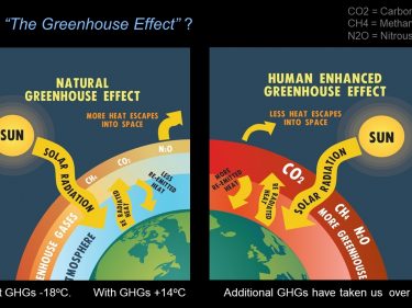 Climate Change And Barn Owls IMAGE 1