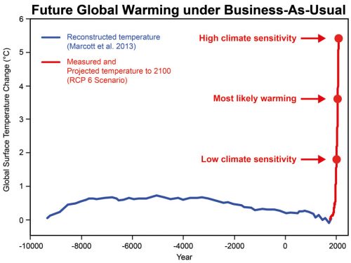 Climate Change And Barn Owls