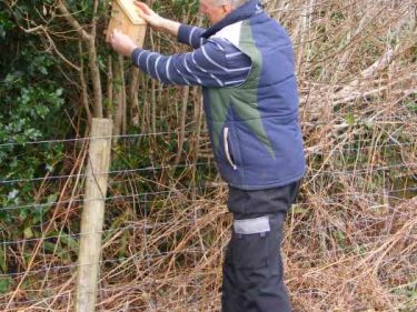Dormouse Boxes Erected In The LLP Wildlife Diary February 2018