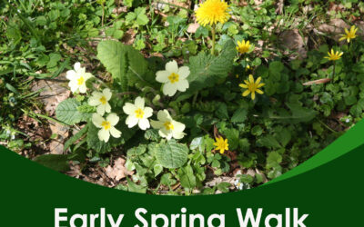 Early Spring Walk – 9am 6th March 2026