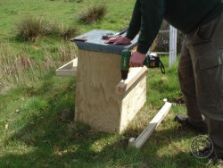 Erecting A Barn Owl Treebox 03