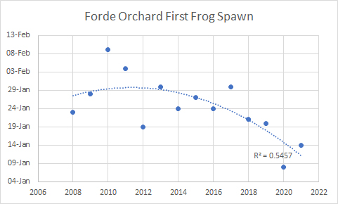 Frog spawn trend