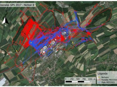 GPS Plot Of Pair In Switzerland [Alexander Roulin] 011118 (C)