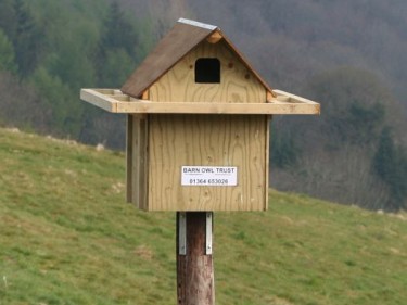Good Barn Owl Nestbox Design 14