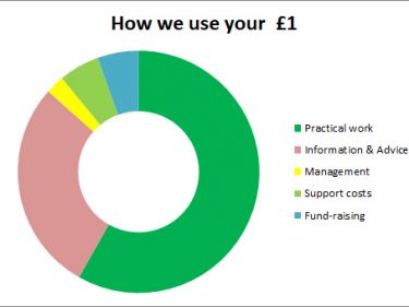 How We Use Your £1 2019