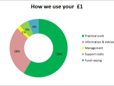 How We Use Your £1 2019
