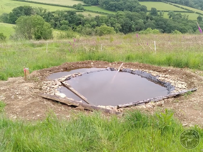 New Pond in Main Field