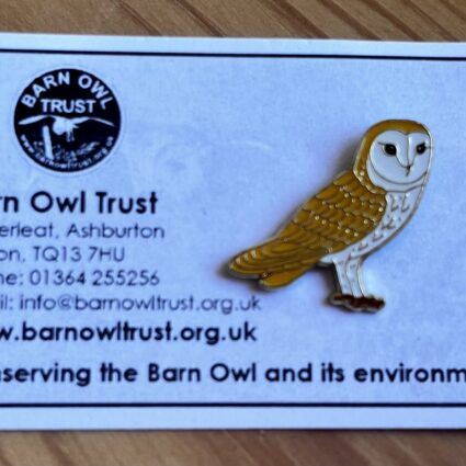 Barn owl pin badge with backing