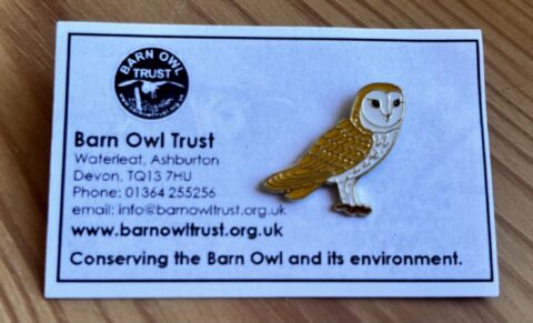 Barn owl pin badge with backing