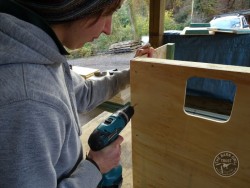 Indoor Barn Owl Nestbox Construction 05