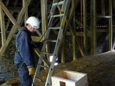 Indoor Barn Owl Nestbox Erection 04