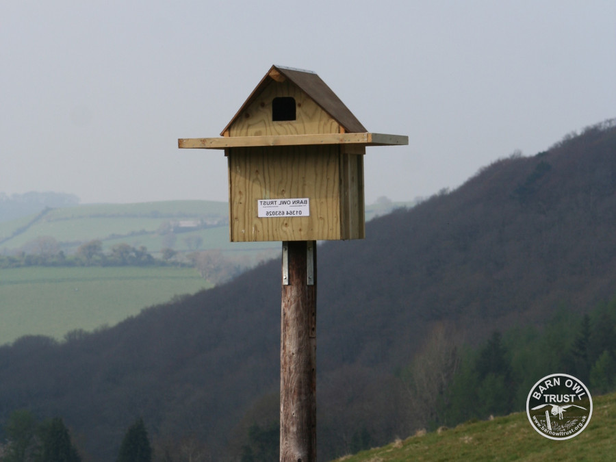 A nestbox mounted on a sturdy wooden pole