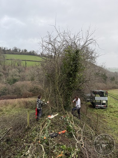 Wildlife Diary December 2025