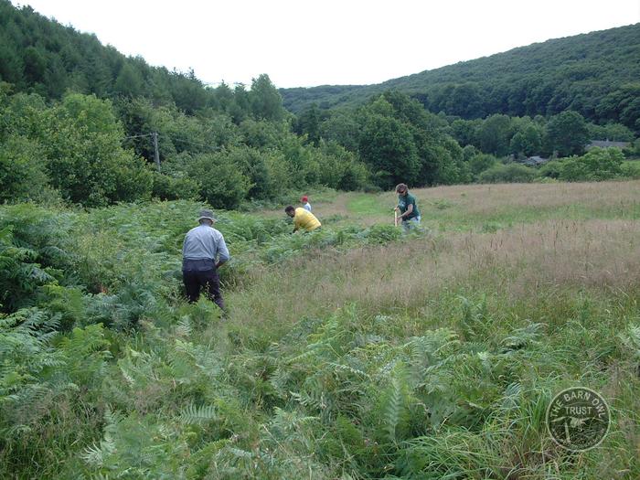 LLP staff and volunteers bracken bashing