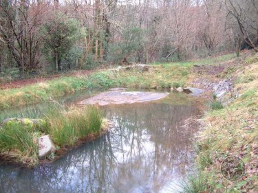 LLP Wildlife Pond Creation 09